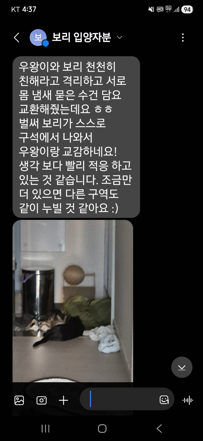 896b8-6a1b97da73bed-cc086176853018430b3acc8740eefbeff65765d5.jpg