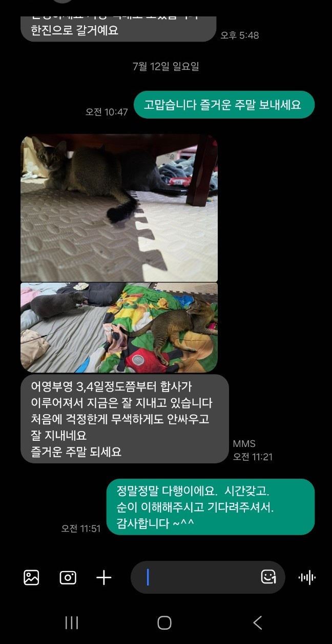 896b8-6a532c6631a64-2b0ed7429eedd63c14c333abbb8f562ffd46e5f0.jpg