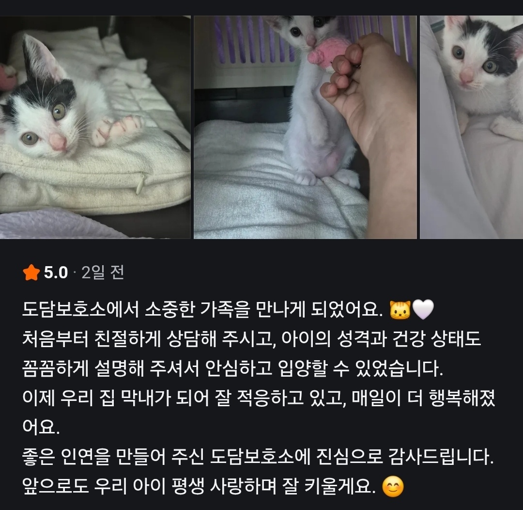 896b8-6a69ac2264cb8-8bf7160fc9f134c3fe85a433ba3cabc39d25cf06.jpg
